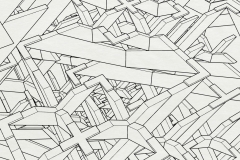 LDF.2_Capture_Pers5_fromabove